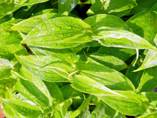 1455619 (a): :2560x1920